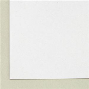 (まとめ) 今村紙工 ボール紙 A4 TTM10-A4 1パック(10枚) 【×40セット】 - 画像 (2)