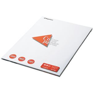 (まとめ) 長門屋商店 Color Paper A3 特厚口 白 ナ-1401V 1冊(100枚) 【×4セット】
