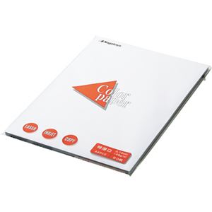 (まとめ) 長門屋商店 Color Paper A4 特厚口 白 ナ-3401V 1冊(100枚) 【×5セット】