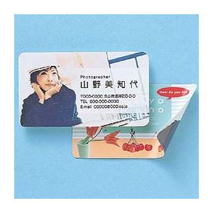 (まとめ)サンワサプライ インクジェットフォト光沢名刺カード・角丸 JP-MCMARUGK【×5セット】