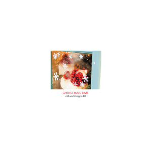 写真素材 naturalimages Vol.40 CHRISTMAS TIME