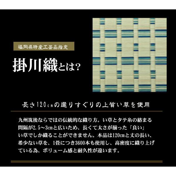掛川織 い草 ラグマット 【ベージュ 本間4.5畳 286×286cm】 抗菌 防臭 消臭 調湿機能付き 耐久性抜群 〔リビング 和室〕【代引不可】 - 画像 (3)
