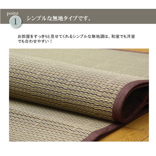 い草 花ござ/ラグマット 【無地 江戸間4.5畳 261×261cm】 裏:不織布 抗菌防臭 消臭 調湿 裏貼CP 〔リビング〕【代引不可】 - 画像 (3)