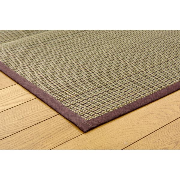 い草 花ござ/ラグマット 【無地 江戸間4.5畳 261×261cm】 裏:不織布 抗菌防臭 消臭 調湿 裏貼CP 〔リビング〕【代引不可】 - 画像 (6)