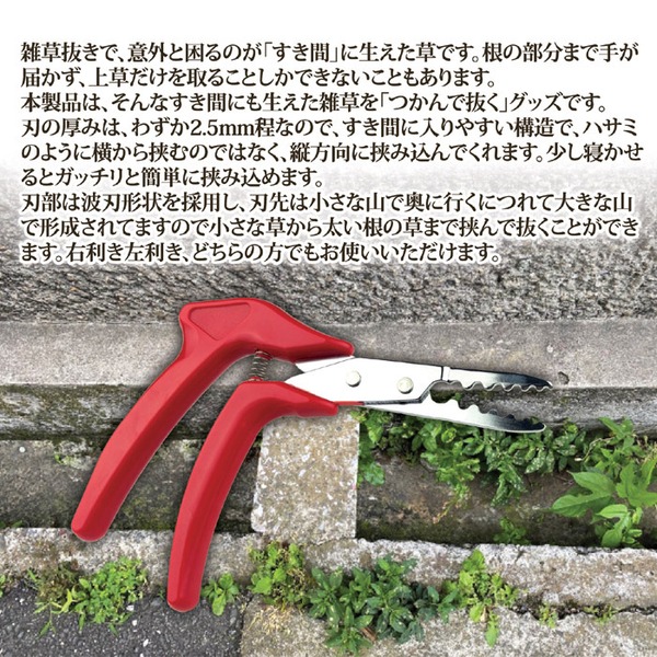 草取り器 除草用品 約15.5×12×1.4cm 刃の厚み2.5mm 右利き左利き対応 波刃形状 草抜くぞう ガーデニング用品 園芸用品 - 画像 (3)