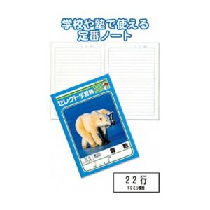 学習帳K-4算数 横罫22行 【10個セット】 31-374