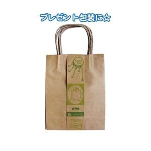 クラフト紙バッグS 3枚入(23×18×8cm) 【12個セット】 35-281