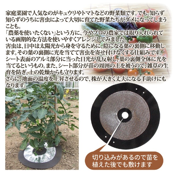 虫よけ しきわらいらず 直径約25cm 6枚組 ピン付き 家庭菜園 畑仕事 農作業 害虫対策用品 雑草対策 ガーデニング用品 園芸用品 - 画像 (3)