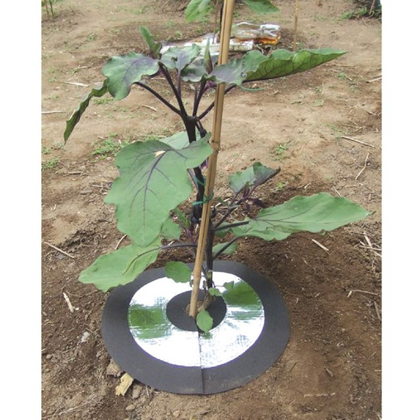 虫よけ しきわらいらず 直径約25cm 6枚組 ピン付き 家庭菜園 畑仕事 農作業 害虫対策用品 雑草対策 ガーデニング用品 園芸用品 - 画像 (5)