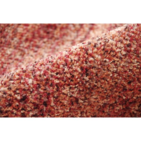 ラグマット/絨毯 【3畳 ミックスカラー ワイン 約190×240cm】 日本製 抗菌 防臭 防ダニ タフト 床暖房対応 〔リビング〕【代引不可】 - 画像 (4)