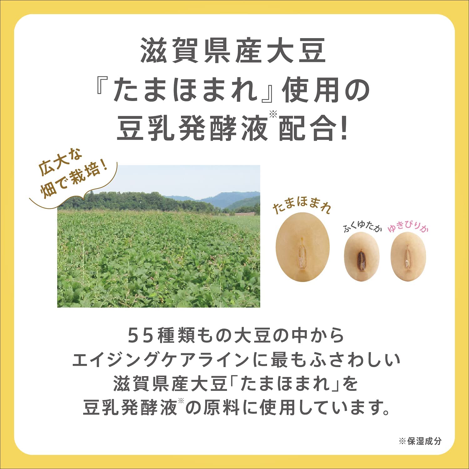 リンクルアイクリーム N 20g 豆乳イソフラボン ピュアレチノール(保湿) - 画像 (3)